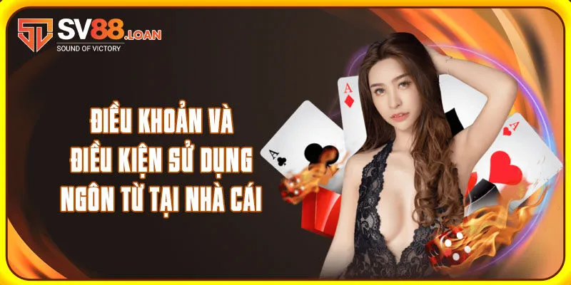 Điều khoản và điều kiện sử dụng ngôn từ tại nhà cái